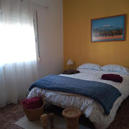 Apartamento Ca Pepet Adzaneta de Albaida Exterior foto